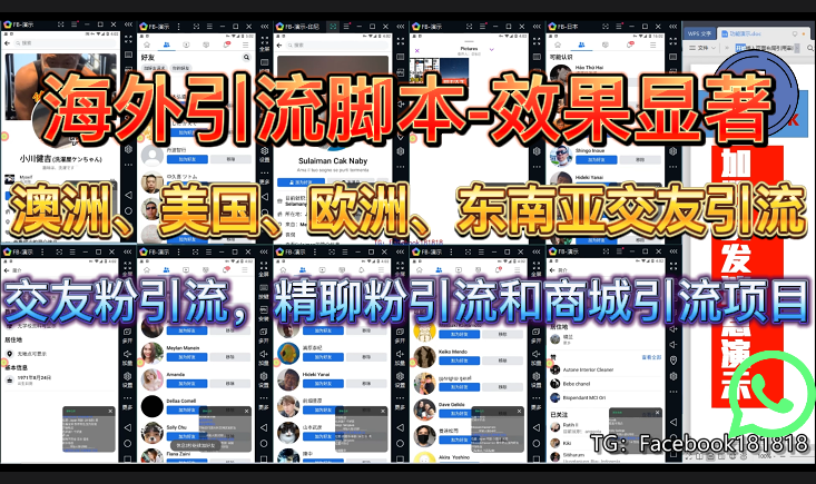 海外引流演示